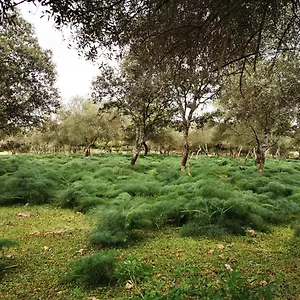https://la-fuensanta.es-andalucia.com